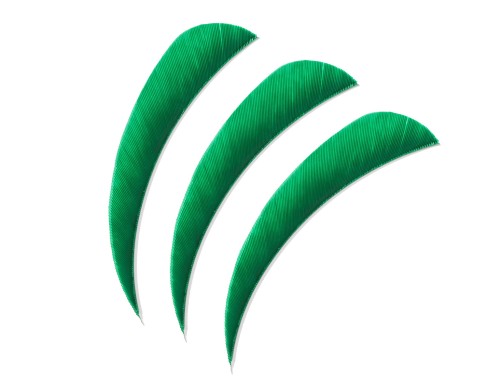 Lotki Poe Lang 4 zielone - 3 szt. (B30061B-F)_01.jpg