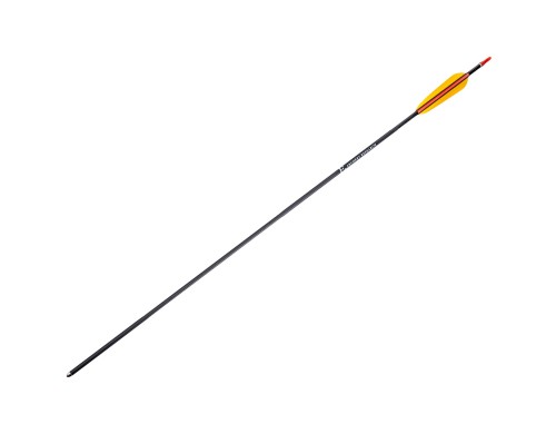 Strzała aluminiowa Poe Lang 30 czarna (D-028BAK)_01.jpg