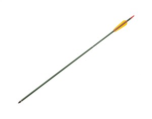 Strzała aluminiowa Poe Lang 30" Zielona (D-020AK)