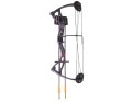 Crosman Wildhorn