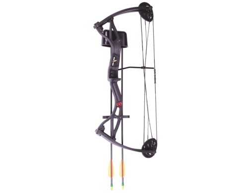 Crosman Wildhorn