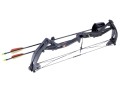 Crosman Wildhorn